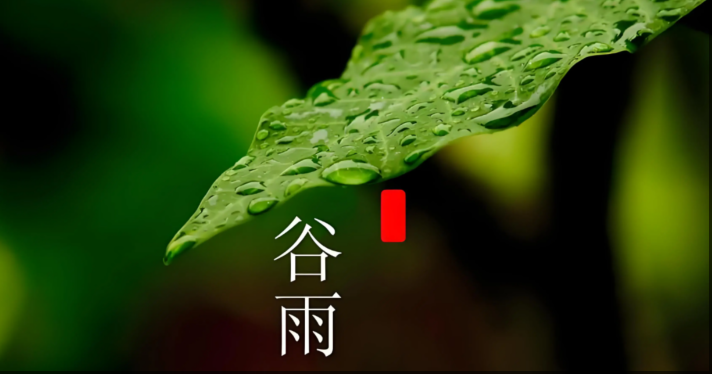 wechat_2025-04-16_111101_235.png